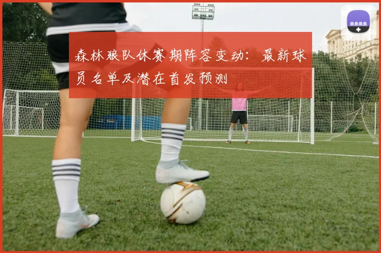 森林狼队休赛期阵容变动：最新球员名单及潜在首发预测