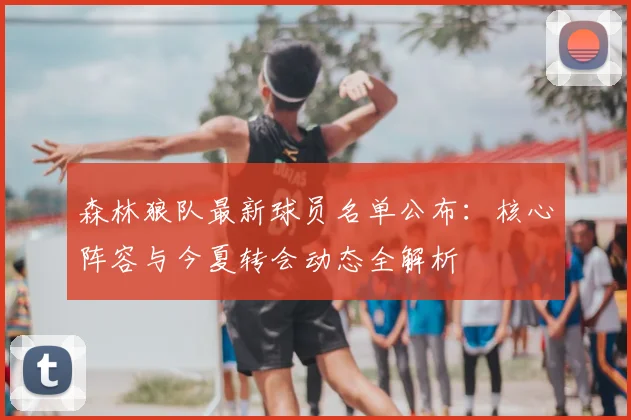 森林狼队最新球员名单公布：核心阵容与今夏转会动态全解析