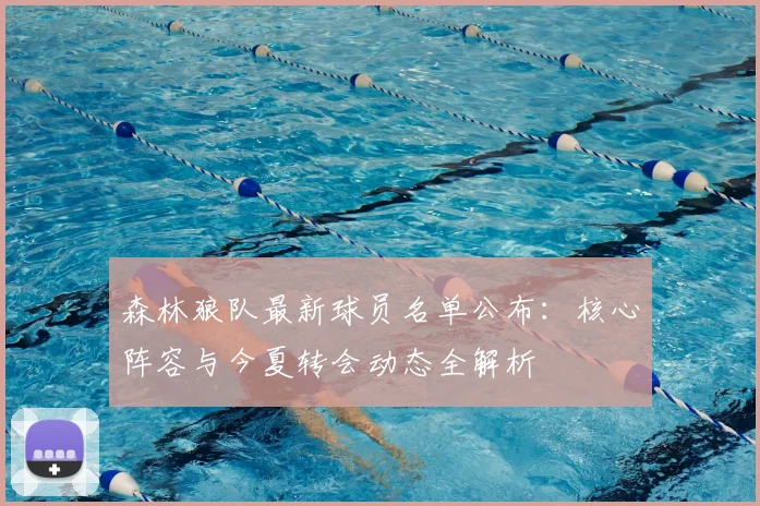 森林狼队最新球员名单公布：核心阵容与今夏转会动态全解析