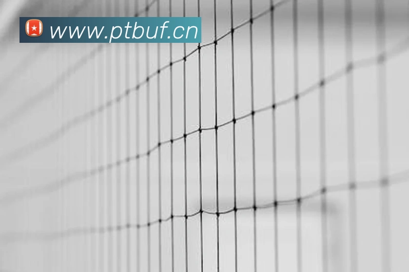 星空官方体育入口平台生态图